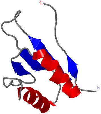 Image NMR Structure - model 1