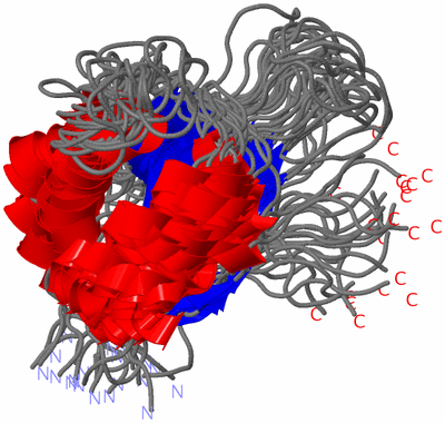 Image NMR Structure - all models