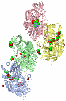 Image Biological Unit 1