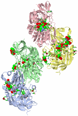 Image Biol. Unit 1 - sites