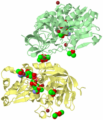 Image Biological Unit 2