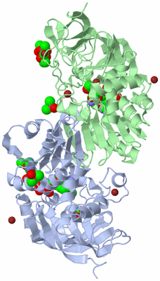 Image Biological Unit 3