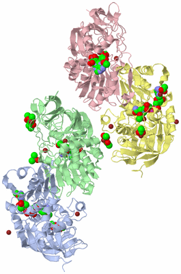 Image Biological Unit 1