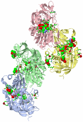 Image Biol. Unit 1 - sites