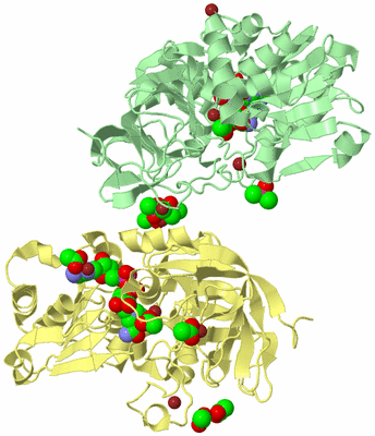 Image Biological Unit 2