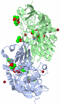 Image Biological Unit 3