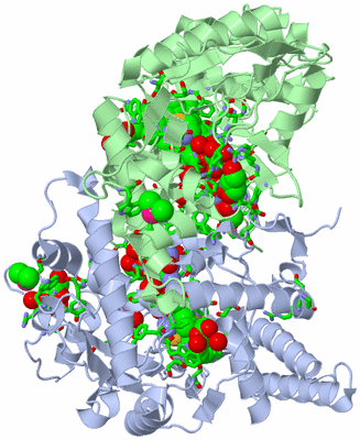 Image Asym./Biol. Unit - sites