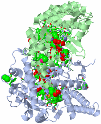 Image Asym./Biol. Unit - sites