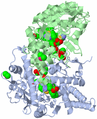 Image Asym./Biol. Unit