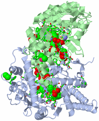 Image Asym./Biol. Unit - sites