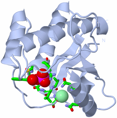 Image Biol. Unit 1 - sites