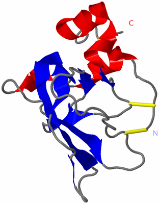 Image NMR Structure - model 1