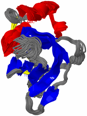 Image NMR Structure - all models