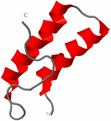 Image NMR Structure - model 1