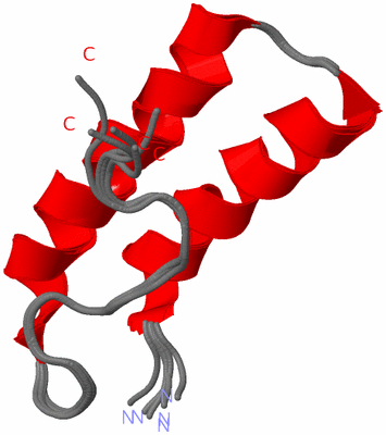 Image NMR Structure - all models