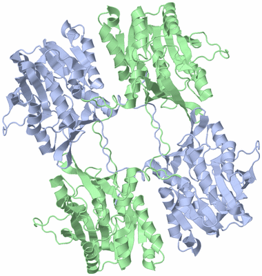 Image Biological Unit 2