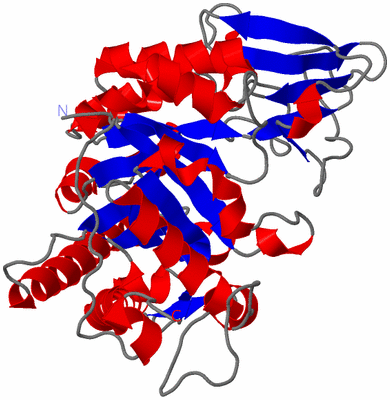 Image Asym./Biol. Unit