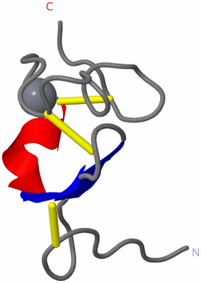 Image NMR Structure - model 1