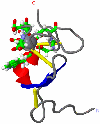 Image NMR Structure - model 1, sites