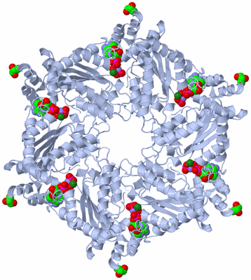 Image Biological Unit 1