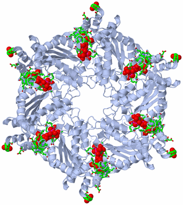 Image Biol. Unit 1 - sites