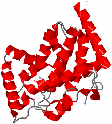 Image Asymmetric Unit
