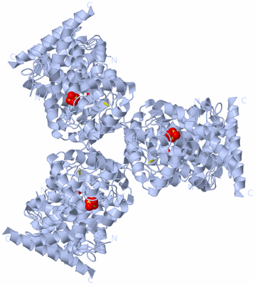 Image Biological Unit 1