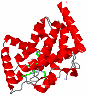 Image Asym. Unit - sites