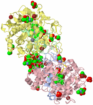 Image Biological Unit 1