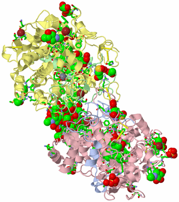 Image Biol. Unit 1 - sites