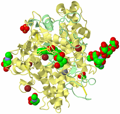 Image Biological Unit 2