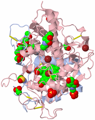 Image Biological Unit 3