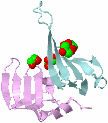 Image Biological Unit 3