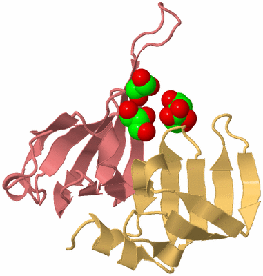 Image Biological Unit 4