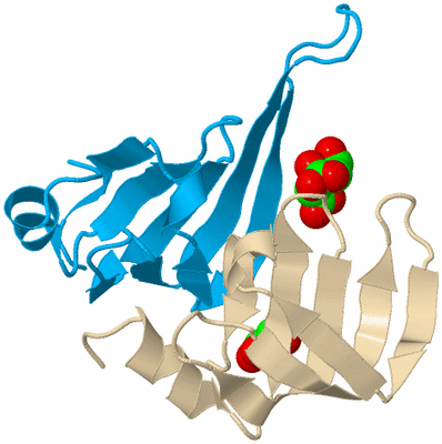 Image Biological Unit 5