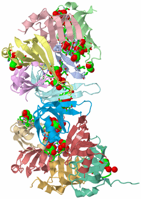 Image Asym. Unit - sites