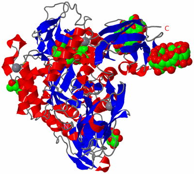 Image Asym./Biol. Unit