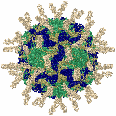 Image Biological Unit 1