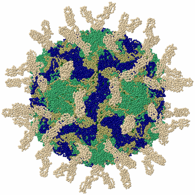 Image Biological Unit 1