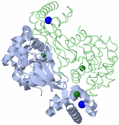 Image Asym./Biol. Unit