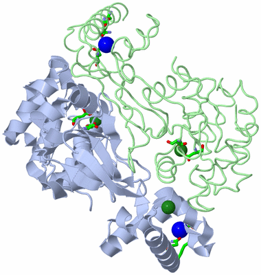 Image Asym./Biol. Unit - sites