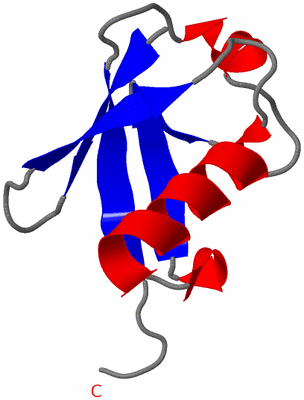 Image NMR Structure - model 1