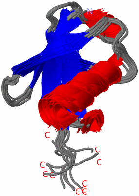 Image NMR Structure - all models