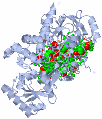 Image Biol. Unit 1 - sites