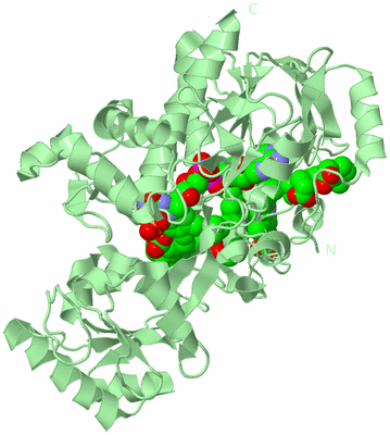 Image Biological Unit 2