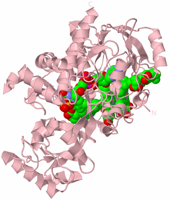 Image Biological Unit 3