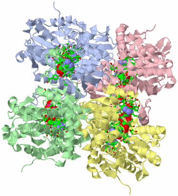 Image Asym./Biol. Unit - sites