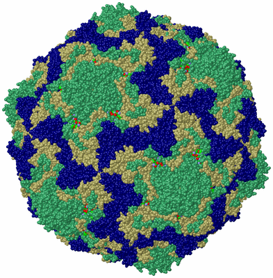 Image Biol. Unit 1 - sites