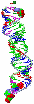 Image Biological Unit 1