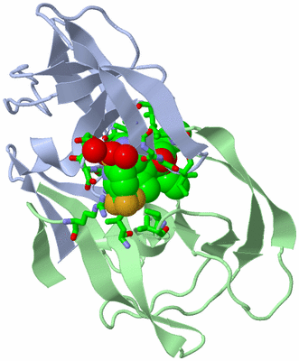Image Asym./Biol. Unit - sites